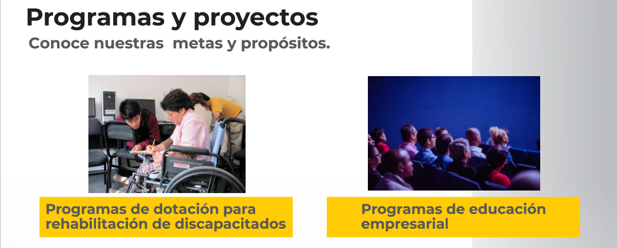 programas y proyectos